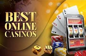 81 win bet 81 win bet