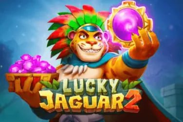 81 win bet 81 win bet