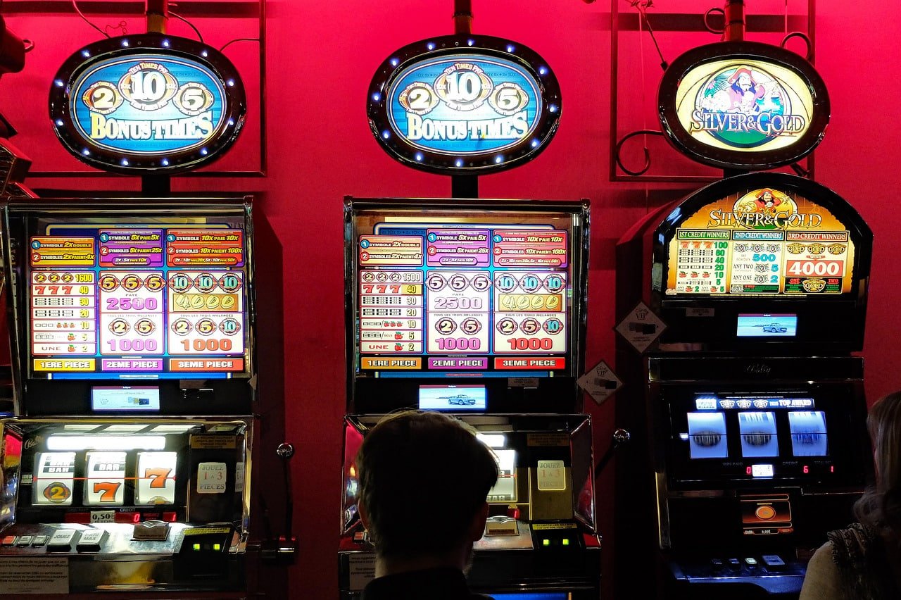 81 win bet 81 win bet