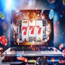 81 win bet