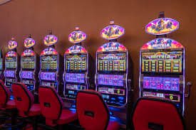 81 win bet 81 win bet