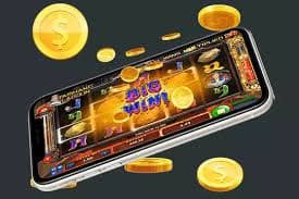 81 win bet