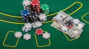 81 win bet 81 win bet
